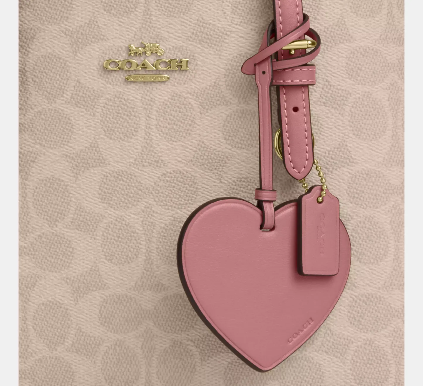 Mollie Tote Bag 25 In Signature Canvas With Heart Charm