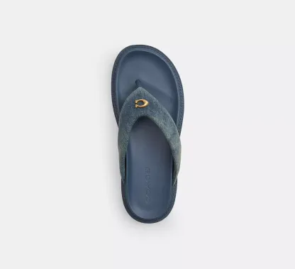 Brynn Thong Sandal In Loved Denim