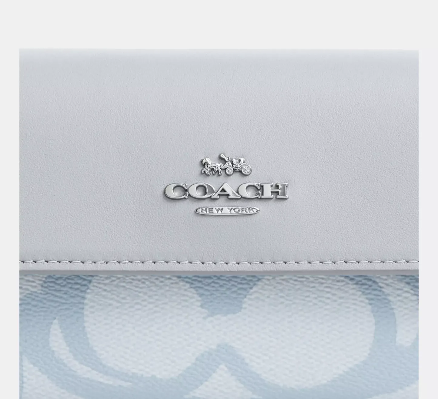 Hailey Flap Bag In Sketch Signature Canvas