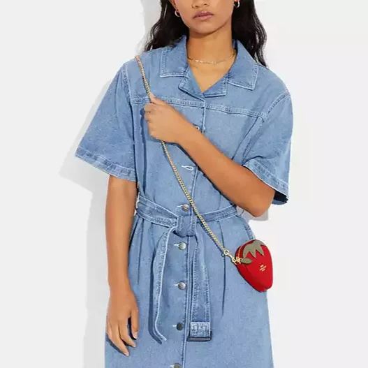 Strawberry Coin Case