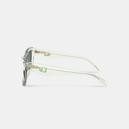 Jelly Tabby Square Cat Eye Sunglasses
