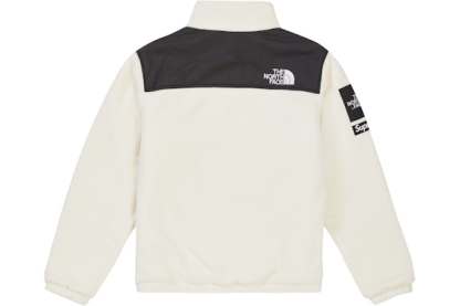 The North Face Expedition Fleece Jacket