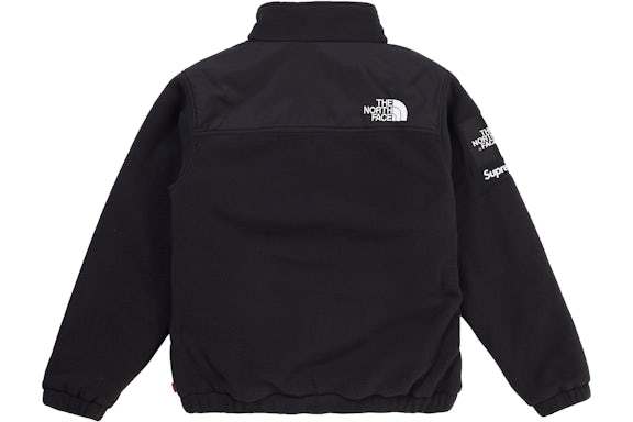 The North Face Expedition Fleece Jacket