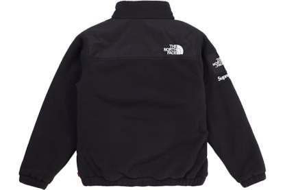 The North Face Expedition Fleece Jacket