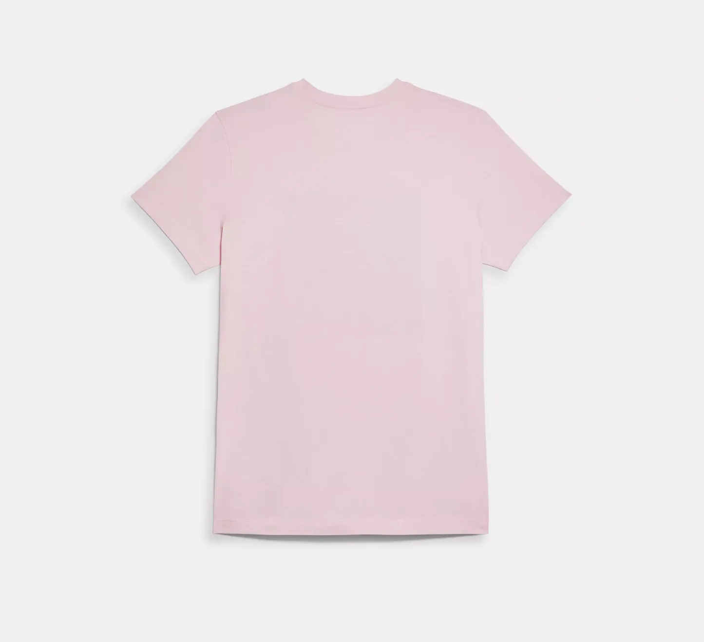 Signature T Shirt In Organic Cotton
