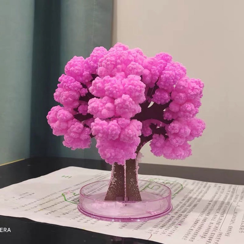 Magic Growing Christmas Tree