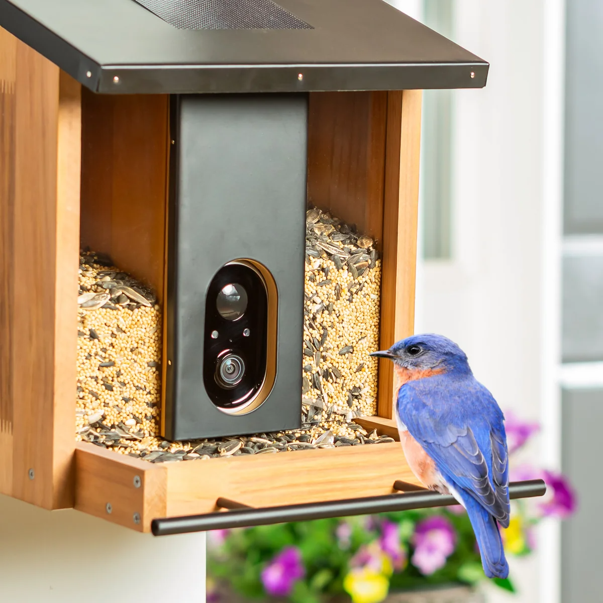 🔥This Week's Special Clearance Sale🔥Solar Smart Bird Feeder
