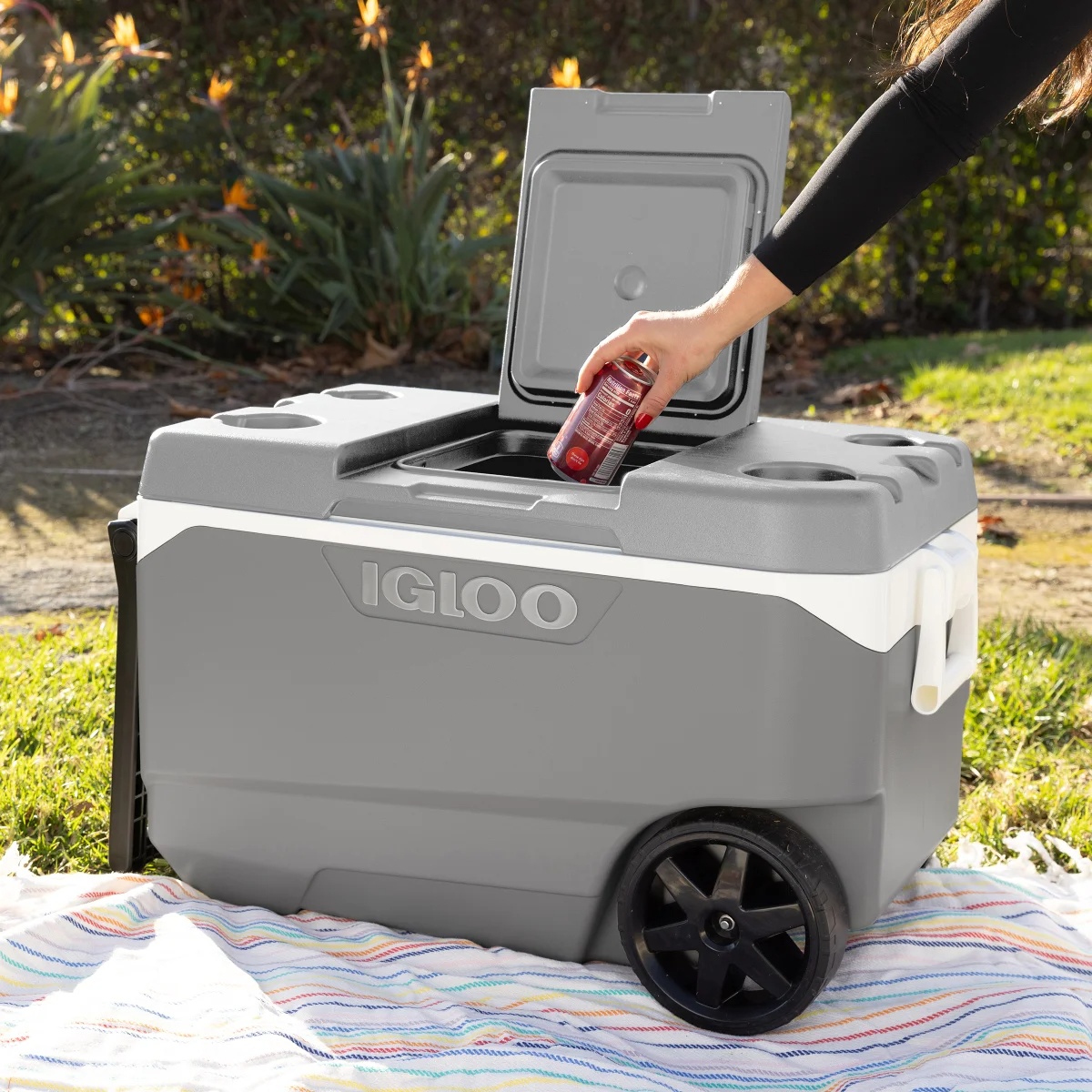 🔥This Week's Special Clearance Sale🔥Igloo MaxCold Latitude 90-quart Roller Cooler