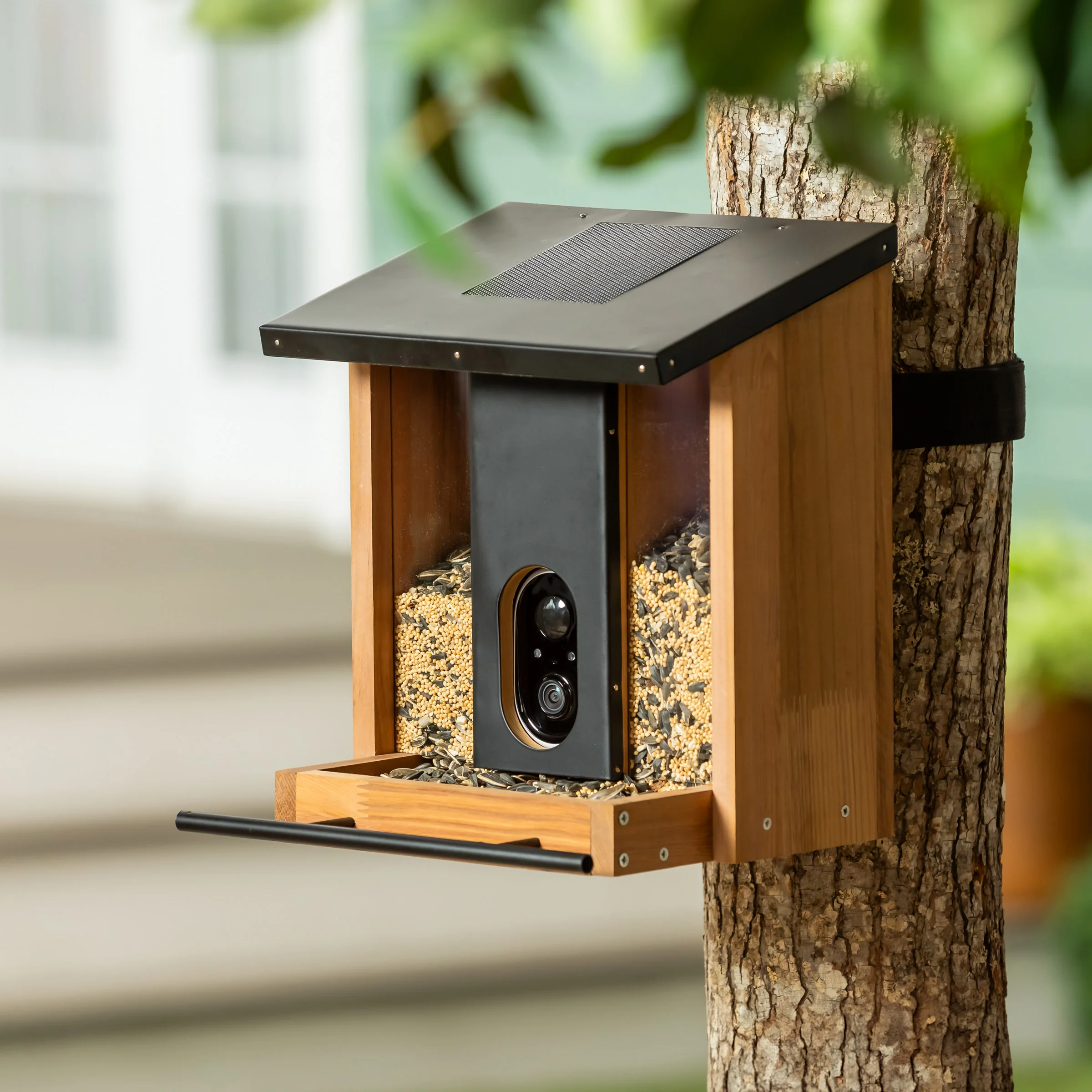 🔥This Week's Special Clearance Sale🔥Solar Smart Bird Feeder