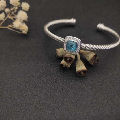 Dathtvid Yurthtman  Sterling Silver Diamond Sapphire 4mm Noblesse Cable Bracelet