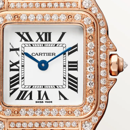 PANTH??RE DE CARTIER WATCH