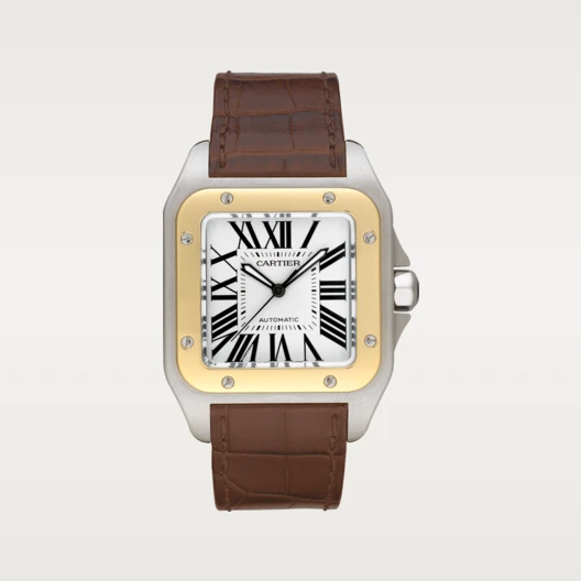SANTOS 100 WATCH