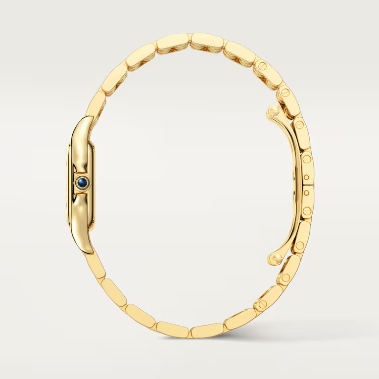 PANTHÈRE DE WATCH SMALL MOEDL