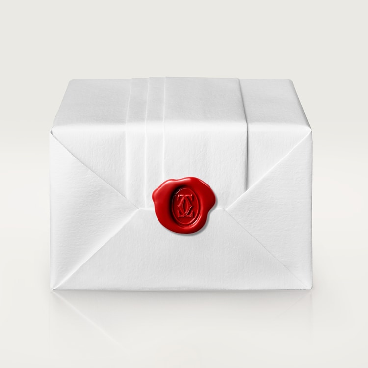 JUSTE UN CLOU NECKLACE