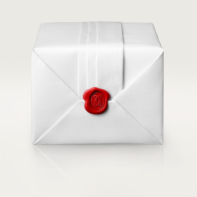 SANTOS-DUMONT WATCH SMALL MODEL