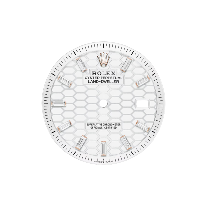 Land-Dweller 36  Oyster, 36 mm, Everose gold and diamonds  Reference m127285tbr-0002