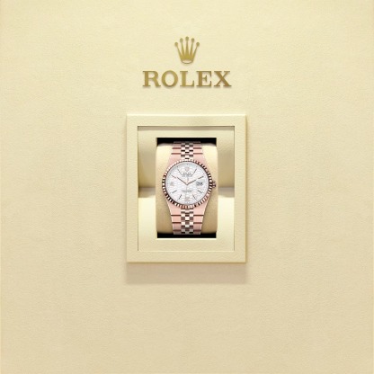 Land-Dweller 36  Oyster, 36 mm, Everose gold  Reference m127235-0001