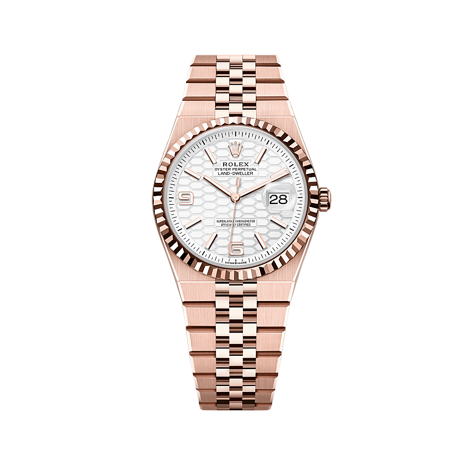 Land-Dweller 36  Oyster, 36 mm, Everose gold  Reference m127235-0001