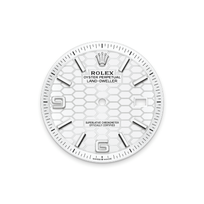 Land-Dweller 40 Oyster, 40 mm, Oystersteel and white gold Reference m127334-0001