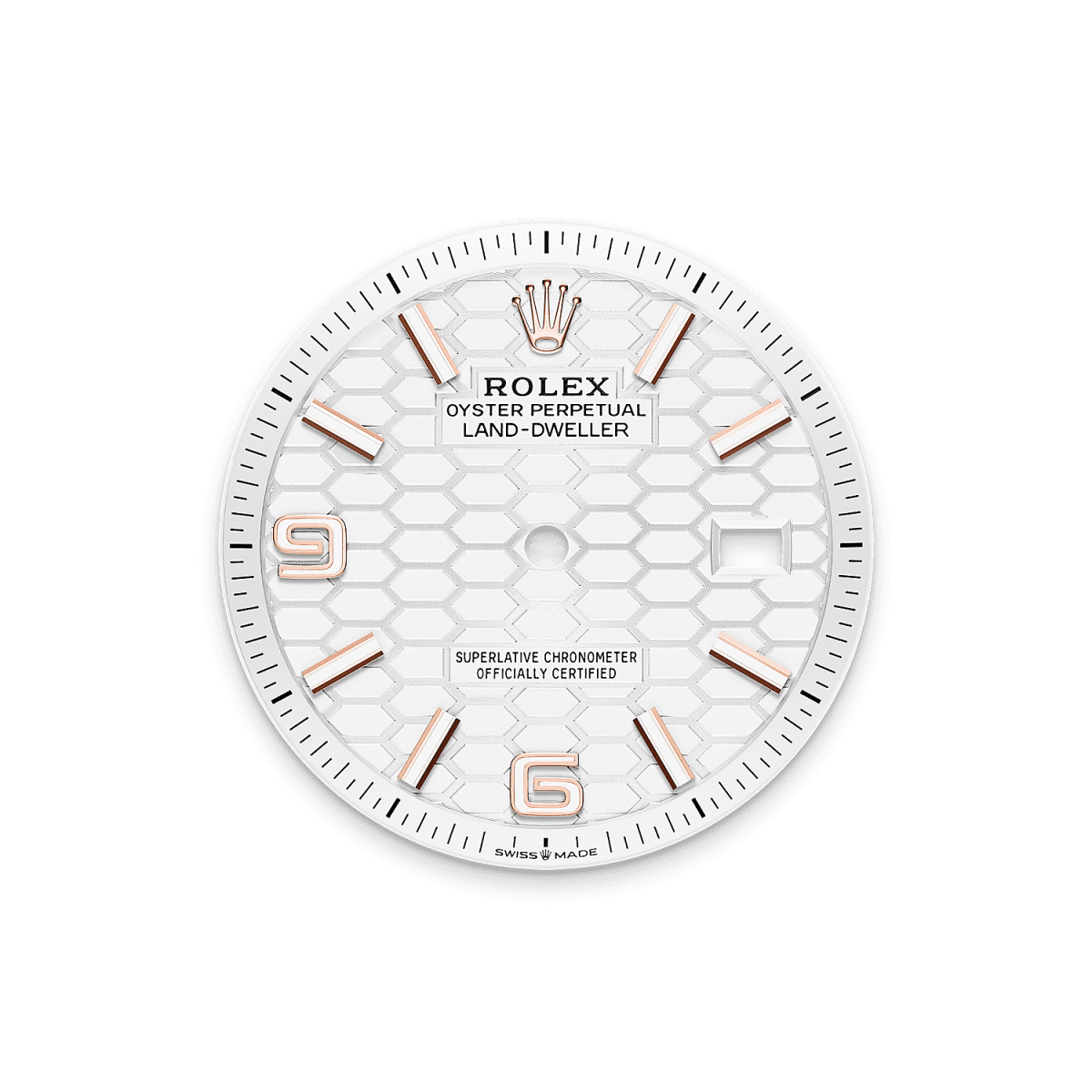 Land-Dweller 36  Oyster, 36 mm, Everose gold  Reference m127235-0001