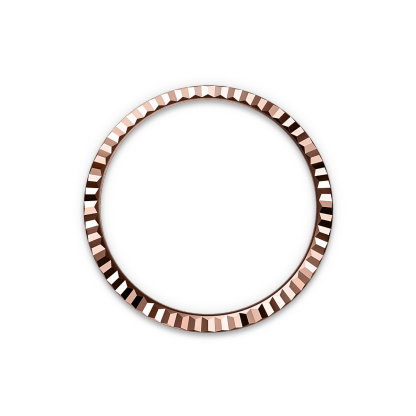 Land-Dweller 36  Oyster, 36 mm, Everose gold  Reference m127235-0001