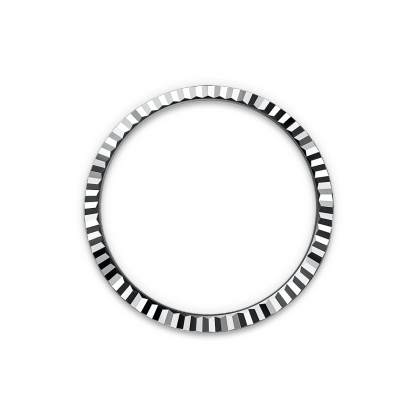 Land-Dweller 40  Oyster, 40 mm, platinum Reference m127336-0001