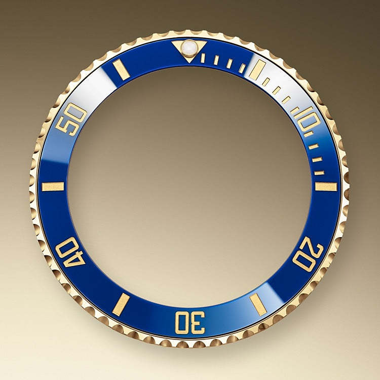 Submariner Date, Stainless Steel and 18k Yellow Gold, 41mm, Ref# 126613lb-0002