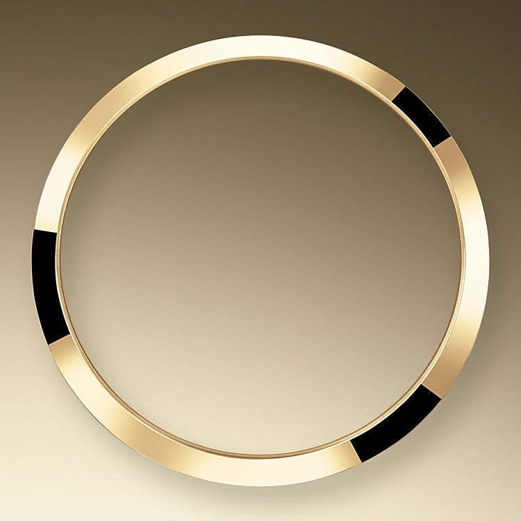 Explorer, 18k Yellow Gold and Stainless steel, 36mm, Ref# 124273-0001, 2024