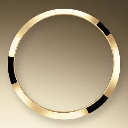 Explorer, 18k Yellow Gold and Stainless steel, 36mm, Ref# 124273-0001, 2024