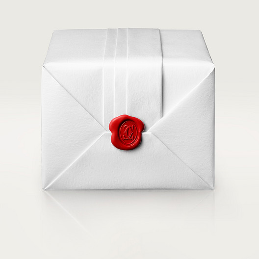 TANK MUST WATCH SMALL MODEL