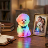 Personalized Cat & Dog Motion Sensor Wall Lamp Custom Pet Photo Night Light for Pet Lover - 