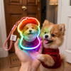 Personalized Cat & Dog Motion Sensor Wall Lamp Custom Pet Photo Night Light for Pet Lover - 