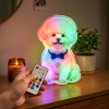 Personalized Cat & Dog Motion Sensor Wall Lamp Custom Pet Photo Night Light for Pet Lover - 