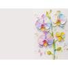 Pearl Paper Thank You Card & Envelope Set Premium Shimmer Greeting Card Set for Gifts and Occasions