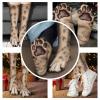  Personalized Funny Feet Paws Socks - Gag Gift For Animal Lovers