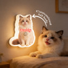 Personalized Cat & Dog Motion Sensor Wall Lamp Custom Pet Photo Night Light for Pet Lover - 