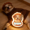 Personalized Cat & Dog Motion Sensor Wall Lamp Custom Pet Photo Night Light for Pet Lover - 