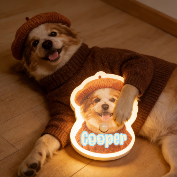 Personalized Cat & Dog Motion Sensor Wall Lamp Custom Pet Photo Night Light for Pet Lover - 