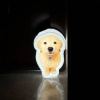 Personalized Cat & Dog Motion Sensor Wall Lamp Custom Pet Photo Night Light for Pet Lover - 