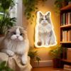Personalized Cat & Dog Motion Sensor Wall Lamp Custom Pet Photo Night Light for Pet Lover - 