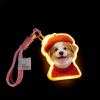 Personalized Cat & Dog Motion Sensor Wall Lamp Custom Pet Photo Night Light for Pet Lover - 