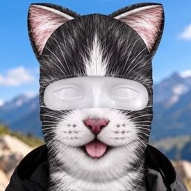 Funny Cat and Dog Winter Ski Gifts - Ski Mask With Ears