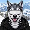 Funny Cat and Dog Winter Ski Gifts - Ski Mask With Ears