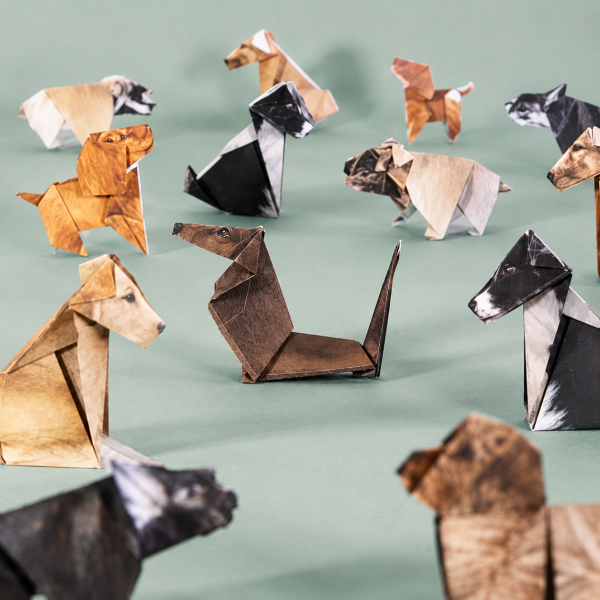 DIY Paper Cats Origami Kit 50PCS Fold Your Own Paper Cat Craft Kit for Kids & Adults
