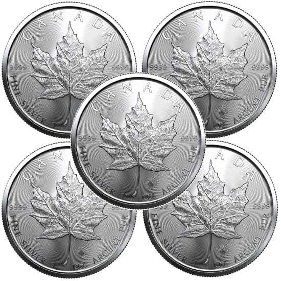 🍁 Final Edition! 💰 65% OFF Canadian Maple Leaf Coin