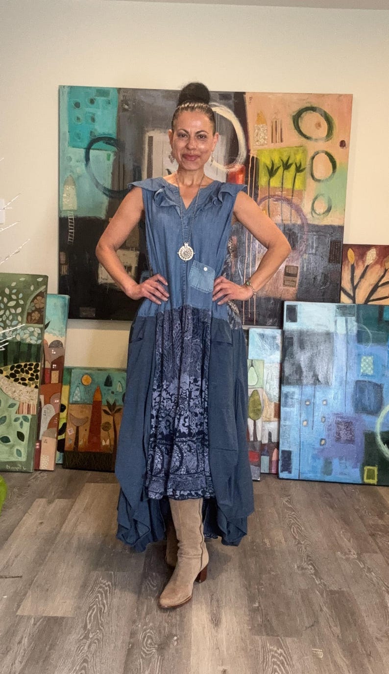Farm Chic Denim Plus Size Dress