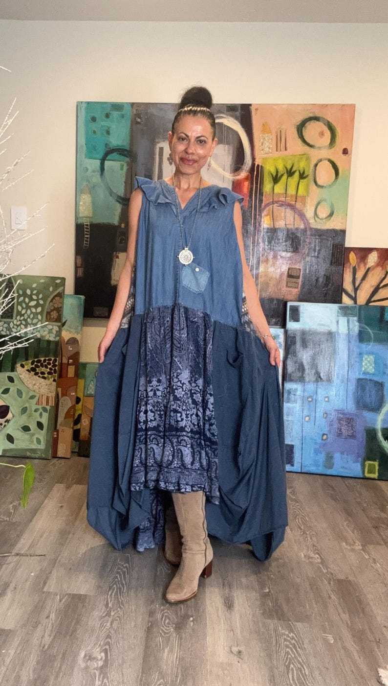 Farm Chic Denim Plus Size Dress