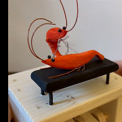 shrimp that gives massages