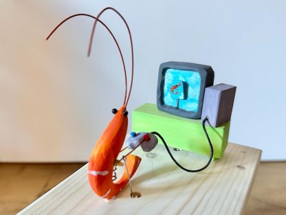 shrimp playing video games