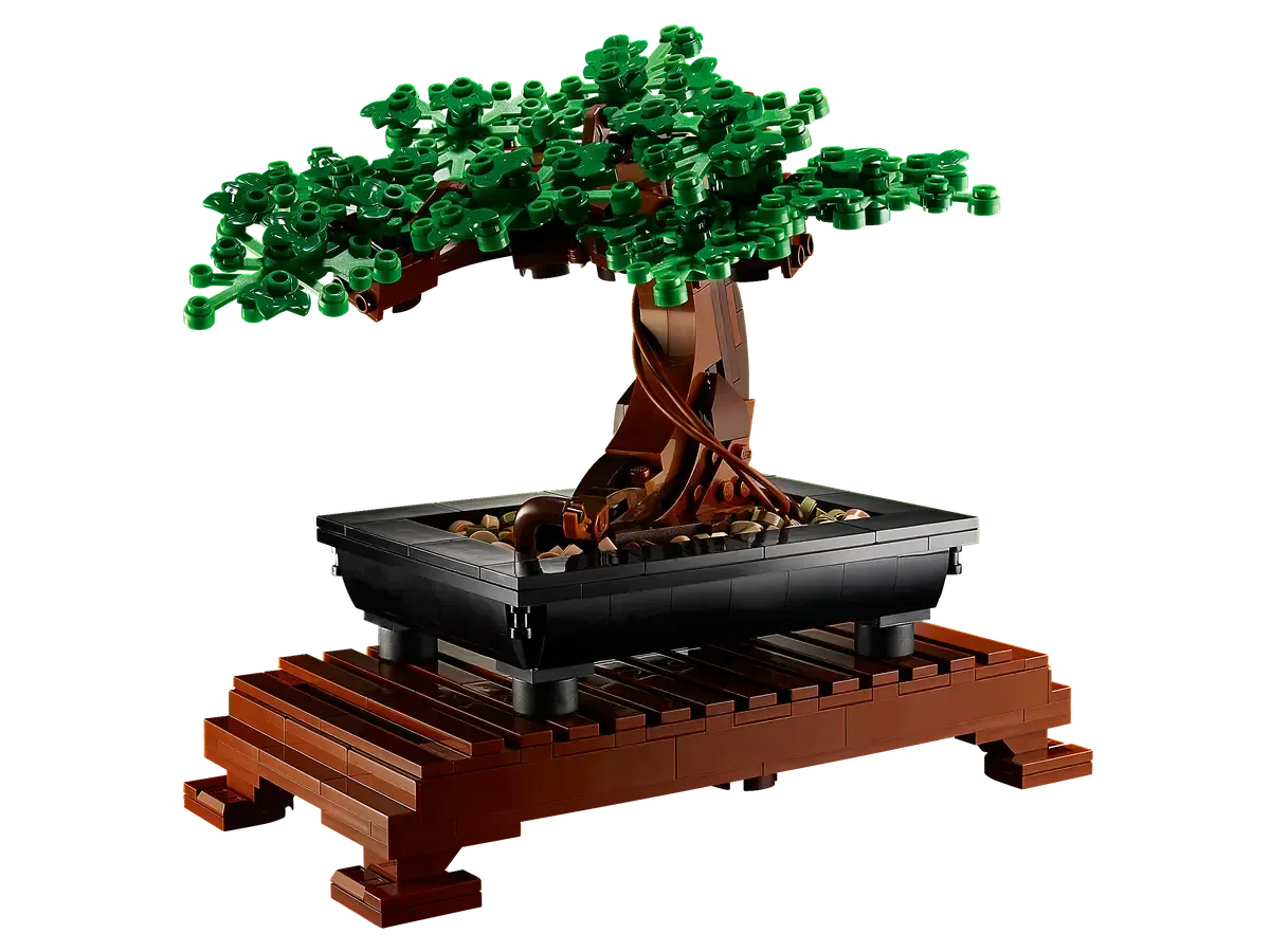 Bonsai Tree